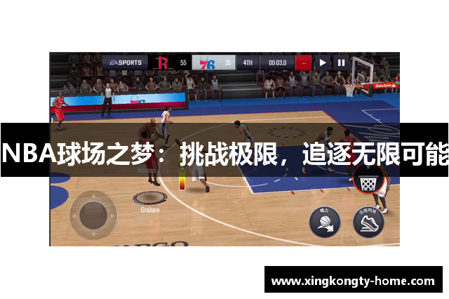 NBA球场之梦：挑战极限，追逐无限可能