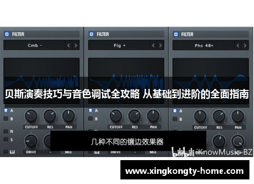 贝斯演奏技巧与音色调试全攻略 从基础到进阶的全面指南